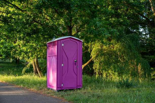 Best Sanitation services for porta potties  in Pevely, MO